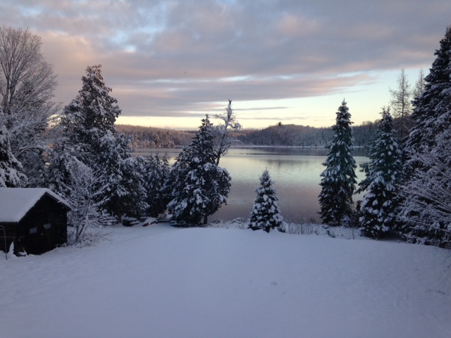 Snowy trees with an unfrozen lake