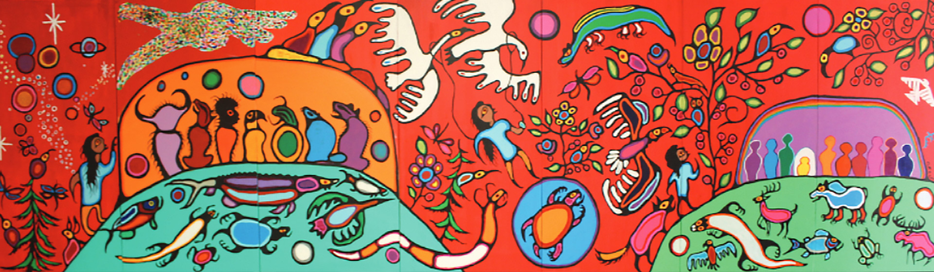 Indigenous banner 15